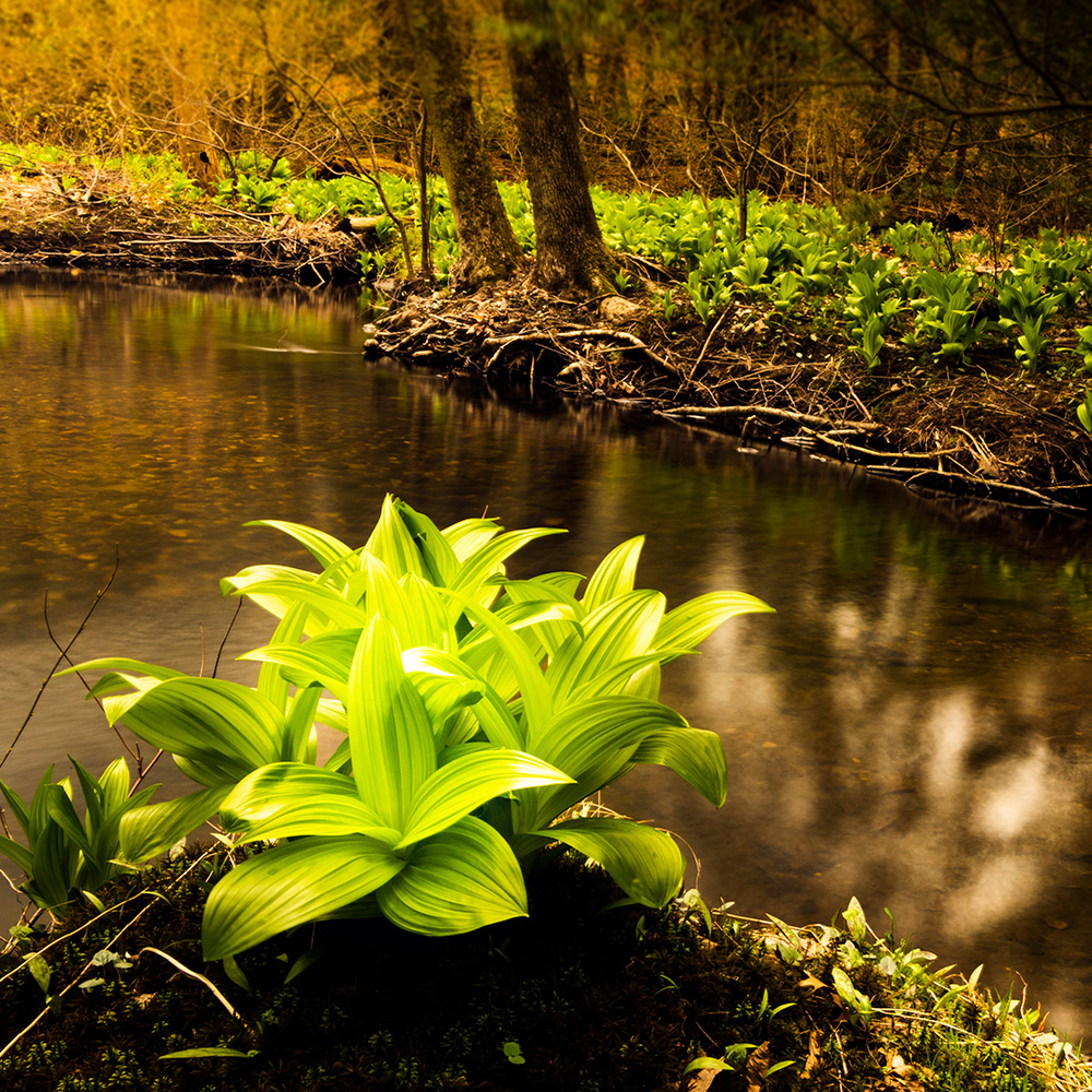 river_template_photo river_template_photo