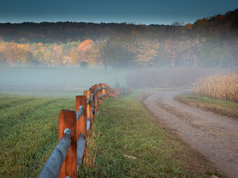 Autumn farm field with road. Foggy morning.