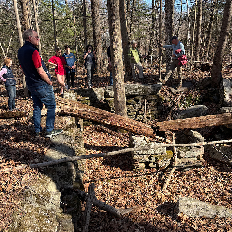 Pilfershire house foundation