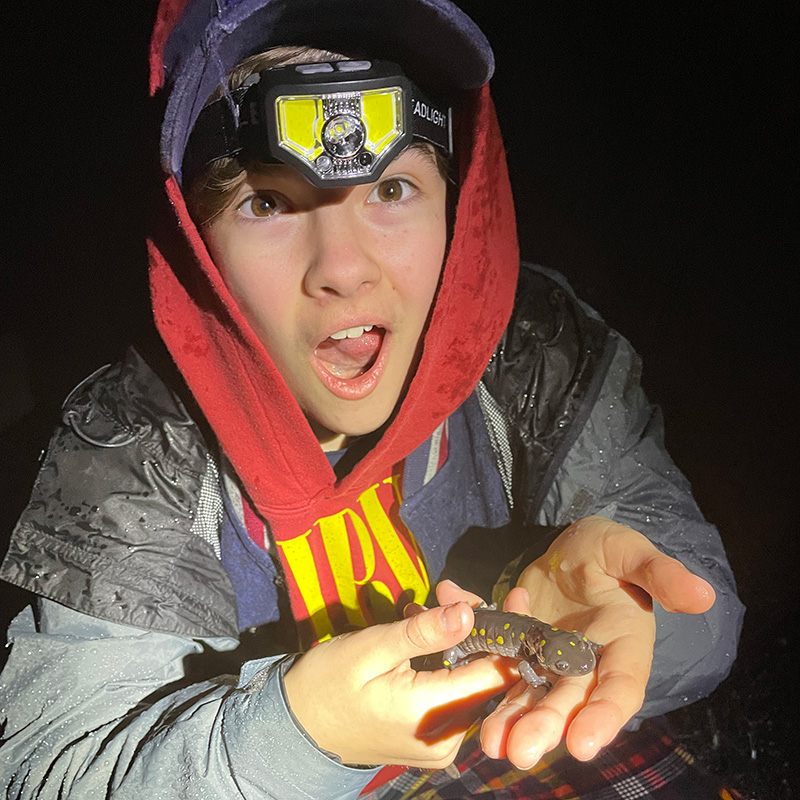 Person holding a salamander