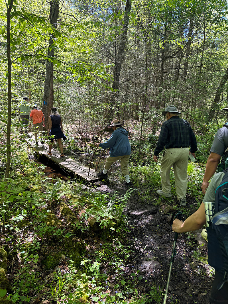 Hikers on Onion Mtn Trail